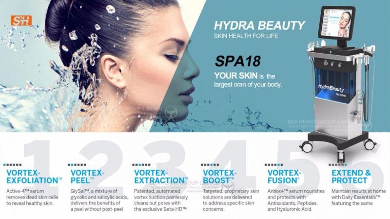 9in1 Hydra Derma Brasion Oxygen Salon Beauty Machine with CE