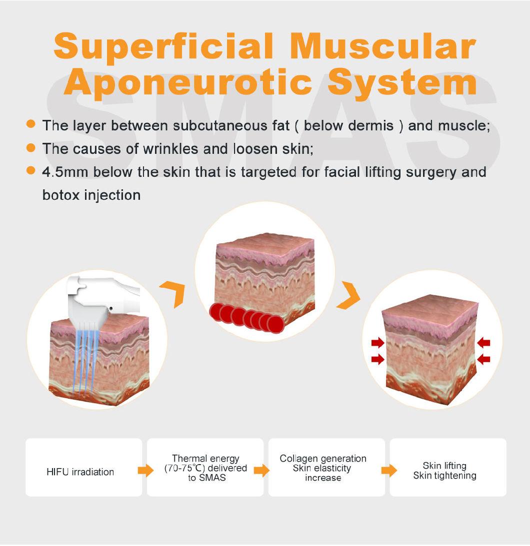 2020 New Trend 12 Lines USA Focused Ultrasound 3D 4D 5D Hifu 2in1 Machine