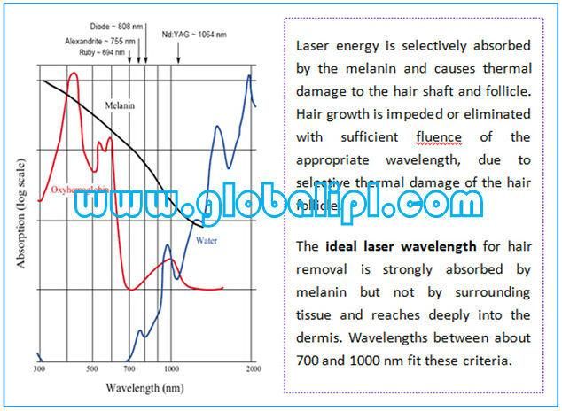 Permanent and Painfree Laser Diode Hair Removal Device