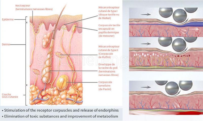 30% off Endoroller Body Slimming Contouring Endo Facial Lifting Wrinkles Remove Endo Roller