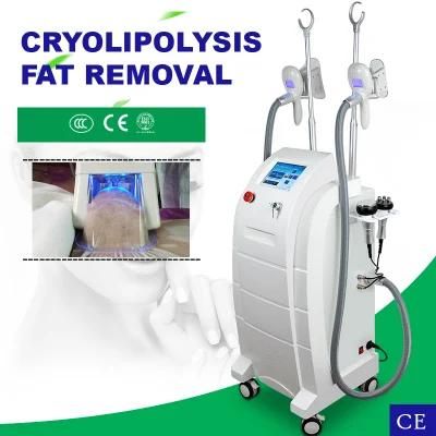 Cryolipolysis Fat Freezing Slimming Machine for Salon Use