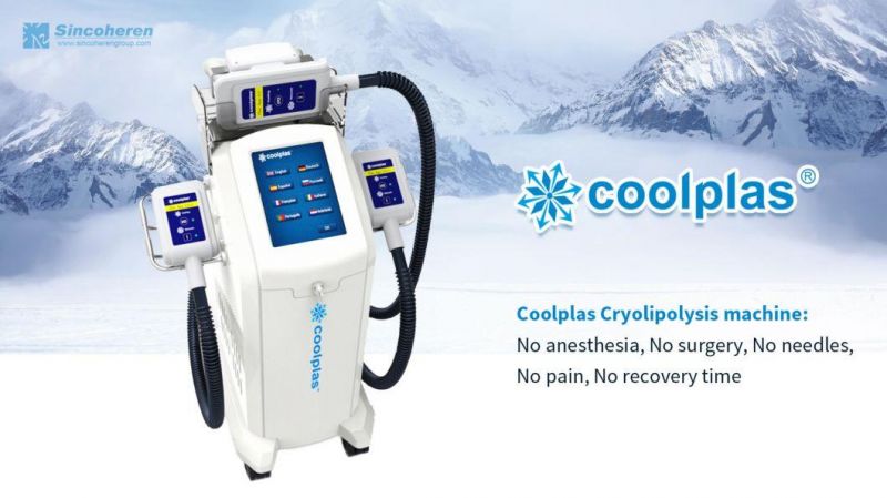 Consutant Dr. Cryolipolysis Fat Freezing Machine Cryo Fat Freezing Coolplas Machine