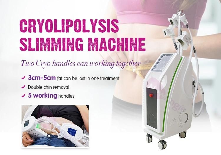 Cryotherapy Cryolipolysis Weight Loss Body Slimming Cryolipolyse Fat Freezing Liposuction Machine