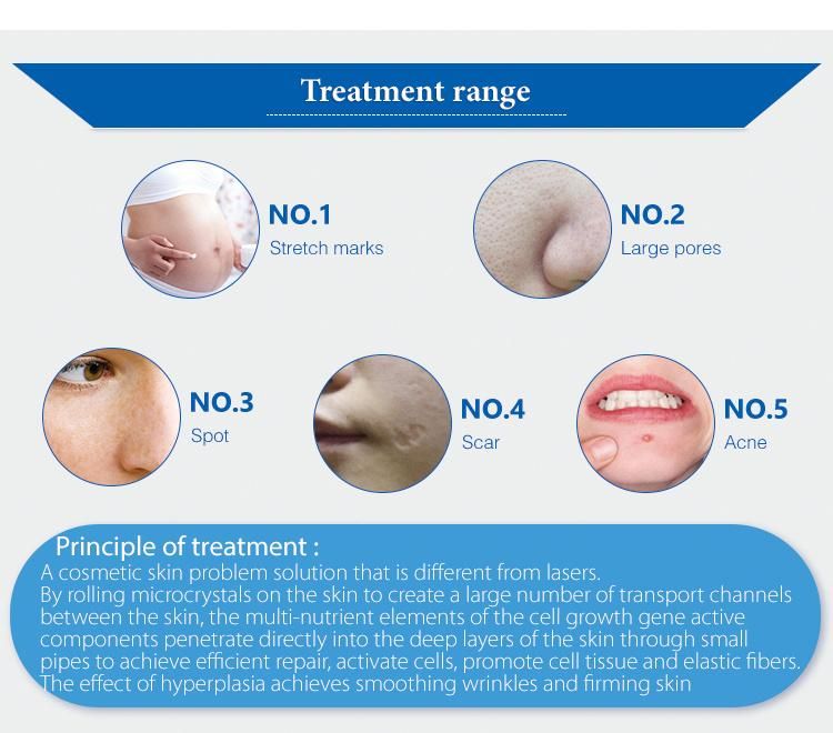 RoHS Microneedle Skin Nurse System Microneedle Radio Frequency