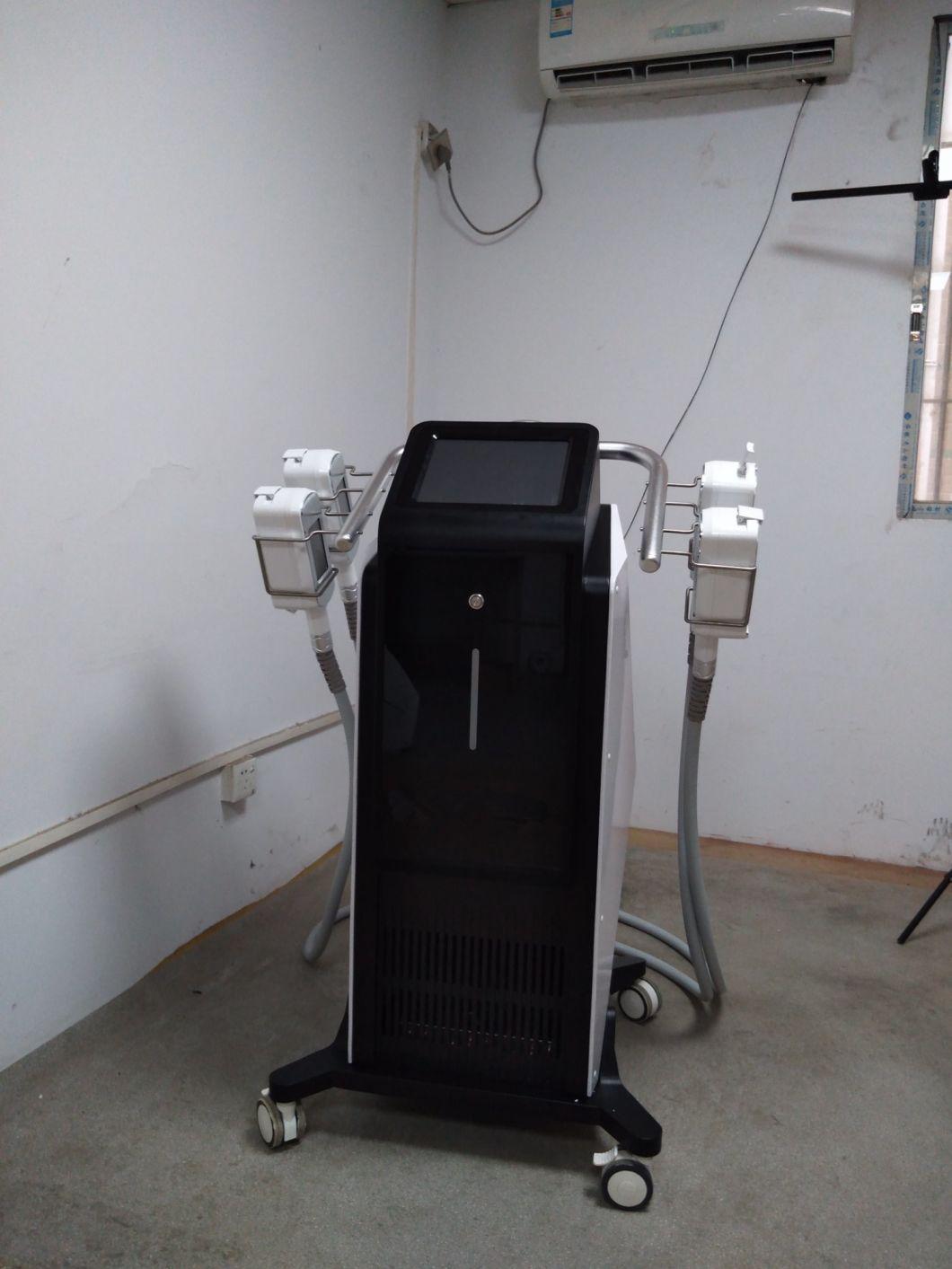 CE Approved Cryolipolysis Slimming Machine Five Handles OEM 360 Degree Fat Freezing Machine Mslcy16