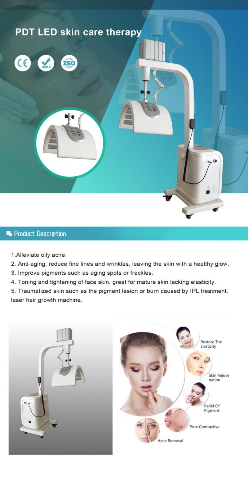 PDT/LED Facial Skin Rejuvenation Beauty Machine/PDT LED Photo Rejuvenation