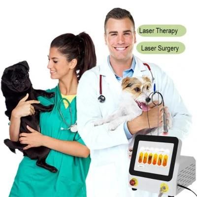 60 Watts Medical Laser Veterinary Therapy Laser Animal Physical Therapy Laser Physical Therapy Equipments Vet Laser
