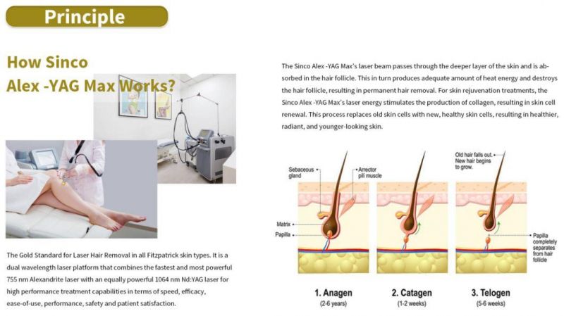 1-Sincoheren Alex Long Pulse Laser Hair Removal Machine Three Cooling System Fully Imported Accessories Alex Laser