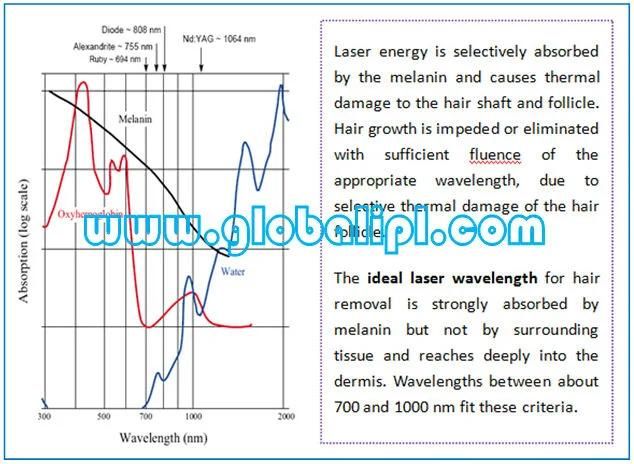 3 Wavelengths Hair Removal 755 808 1064 Diode Laser Clinic SPA Use