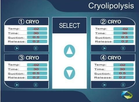 5 Handle Cryolipolysis 360 Degree Cryo Slimming Fat Freezing Machine