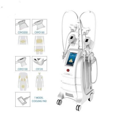 Etg50-5s High Quality Cryolipolysis Fat Freeze Double Chin Removal Weight Loss Equipment with 5 Handles