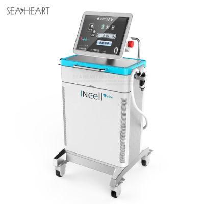 RF Fractional RF Micro Needle Beauty Machine Anti-Acne Skin Lifting Anti-Wrinkle Microneedle RF SPA Equipment