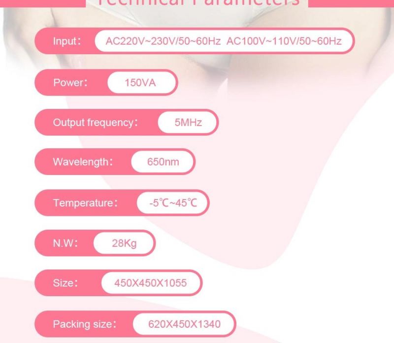 Microneedle Pores Tightening and Skin Smoothen RF Beauty Machine (MR16-3S)