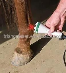 Animal Laser and Physiotherapy Equipment Instrument for Horses, Cats, Dogs