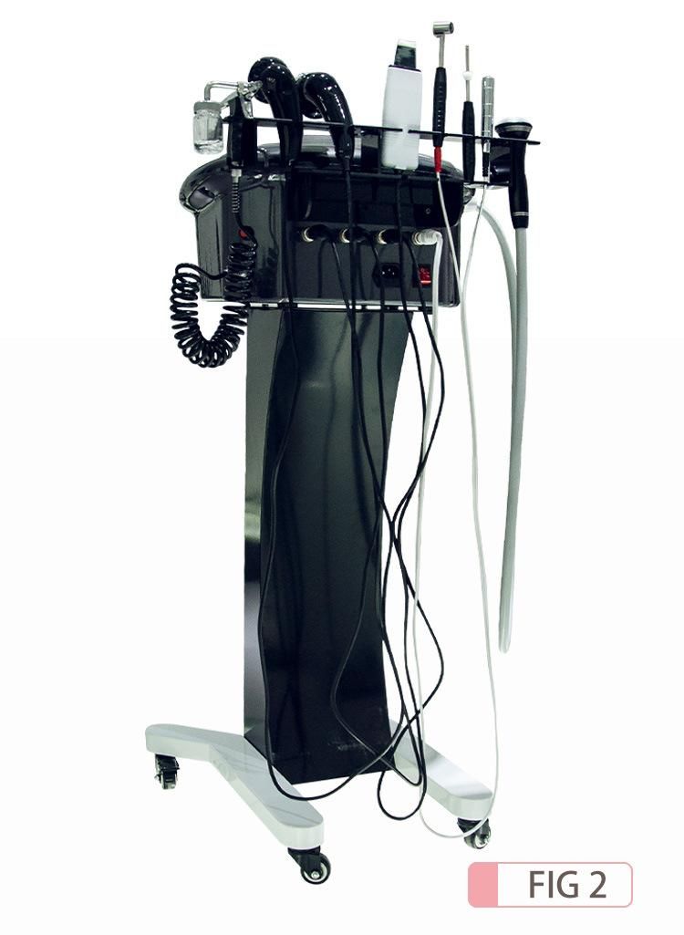 Black Skin Management Machine Skin Care Facial Cleaning Beauty Machine