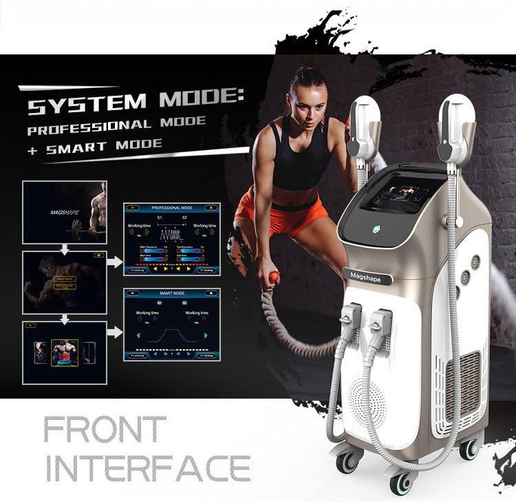 Non-Invasive Electromagnetic Teslasculpt Weight Loss and Muscle Building Machine