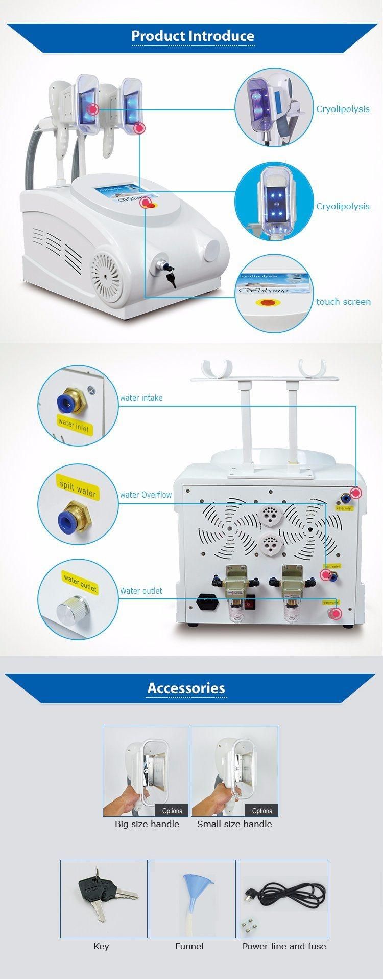 Dual Handles Medical Ce Approved latest Cryotherapy Cryo Slimming Machine