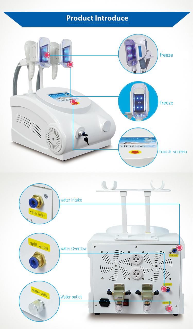 Portable Cryolipolysis Cryo Slimming Machine with Double Cryo Handle