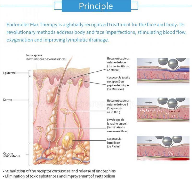 Endoroller Therapy on Body Innovative Slimming System Reducing Cellulite Body Shape Machine