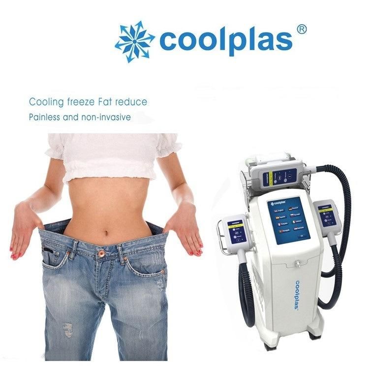 Professional Fat Freezing Machine with 3 Vacuum Freezing Handles