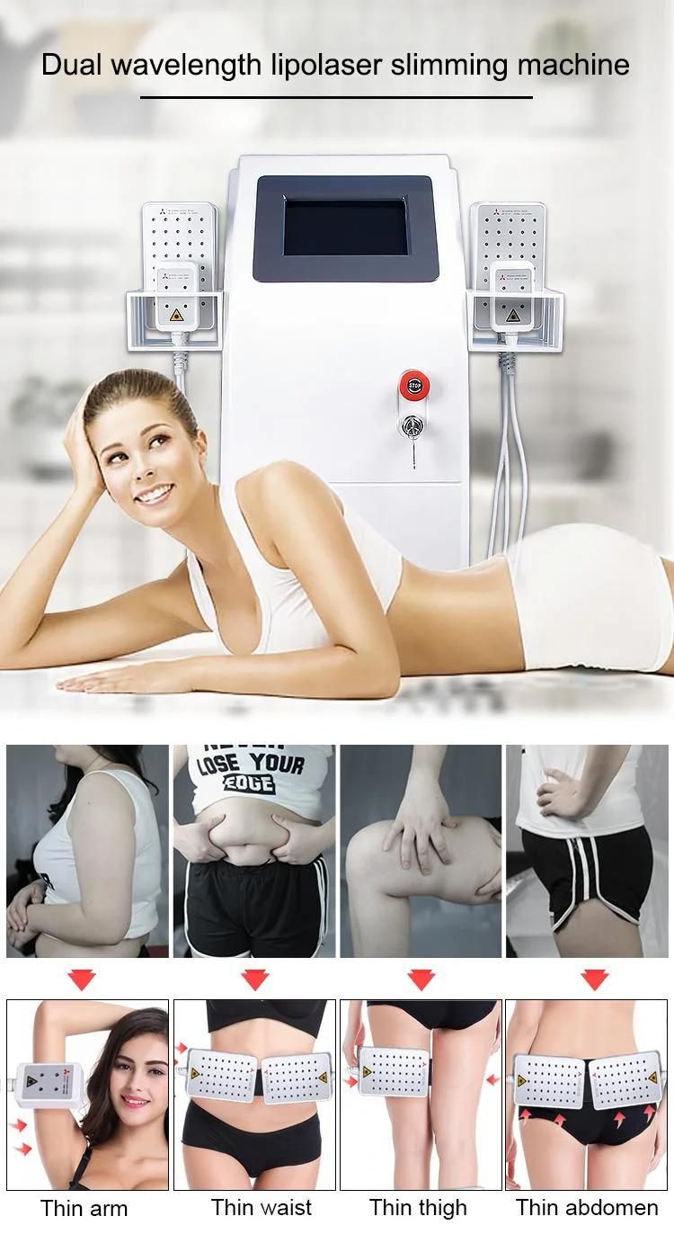 Painless Fast Fat Burner with Strong Diode Laser Mitsubishi Lipo Laser Machine