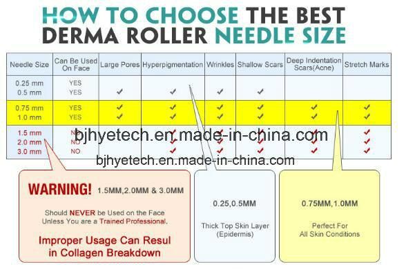 Derma Roller 5 in 1 Skin Roller System Microneedle with Ce