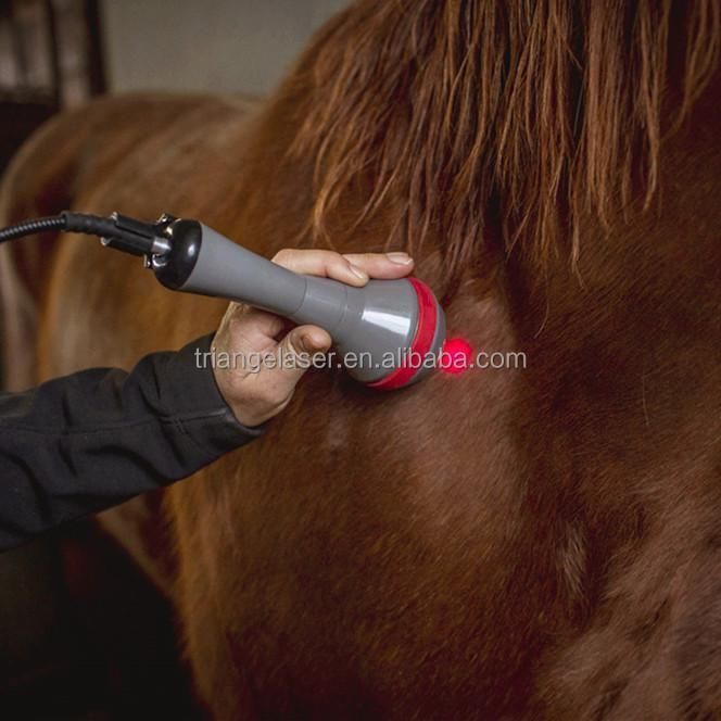 Class IV Animal Therapeutic Laser Therapy 980nm Veterinary Laser