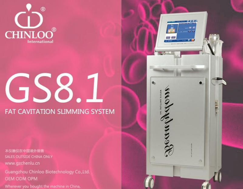 Ultrasonic Vacuum Cavitation Freeze Fat Slimming Instrument (GS8.1)