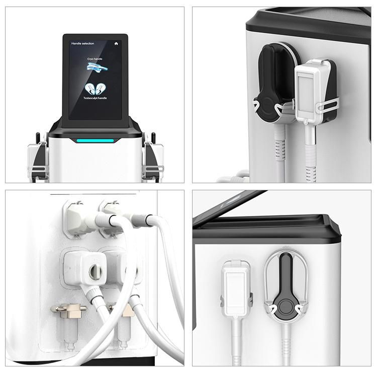 4 Handles 2 in 1 Emslim 360° Fat Freezing Machine