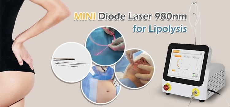 980nm 1470nm Laser Lipolysis Liposuction Machine Beauty Equipment