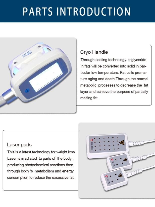 Lipolaser RF Cavitation Cryolipolysis Fast Slimming Machine