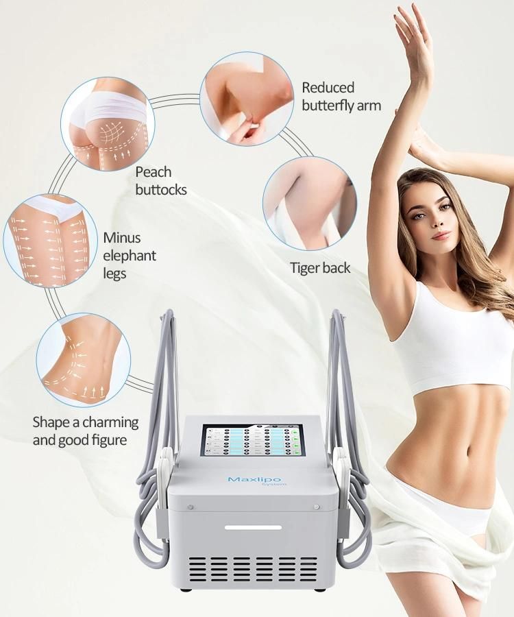 Effective Body Cryolipolysis Pads Cryotherapy Beauty Machine with EMS Slimmming