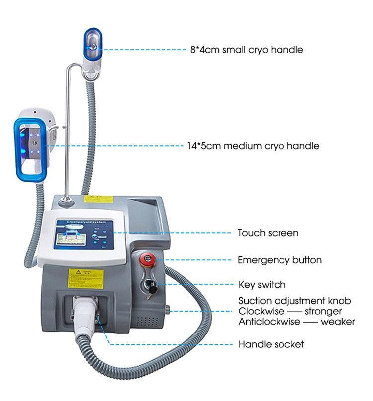 OEM Host Handle Control Dual Screens Cryotherapy Body Slimming Machine with Blue LED Light