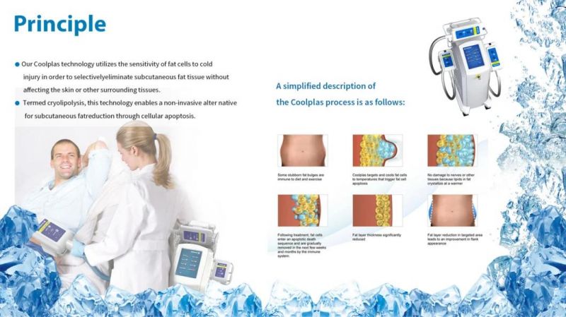 Consultant Dr. Sincoheren Coolplas Cryo Therapy Body Slimming Device Fat Freezing Cellulite Reduction Machine 2 Handlepieces Working Together