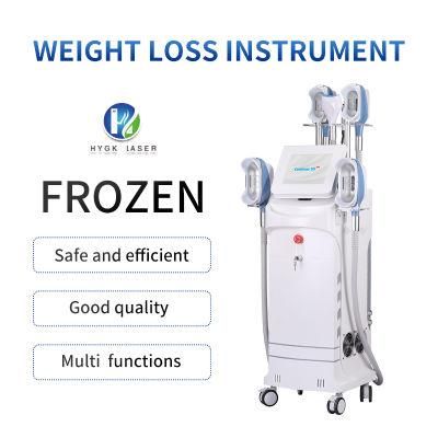 2022 Newest Cryotherapy Fat Freezing Cryolipolysis Machine with 5 Handles