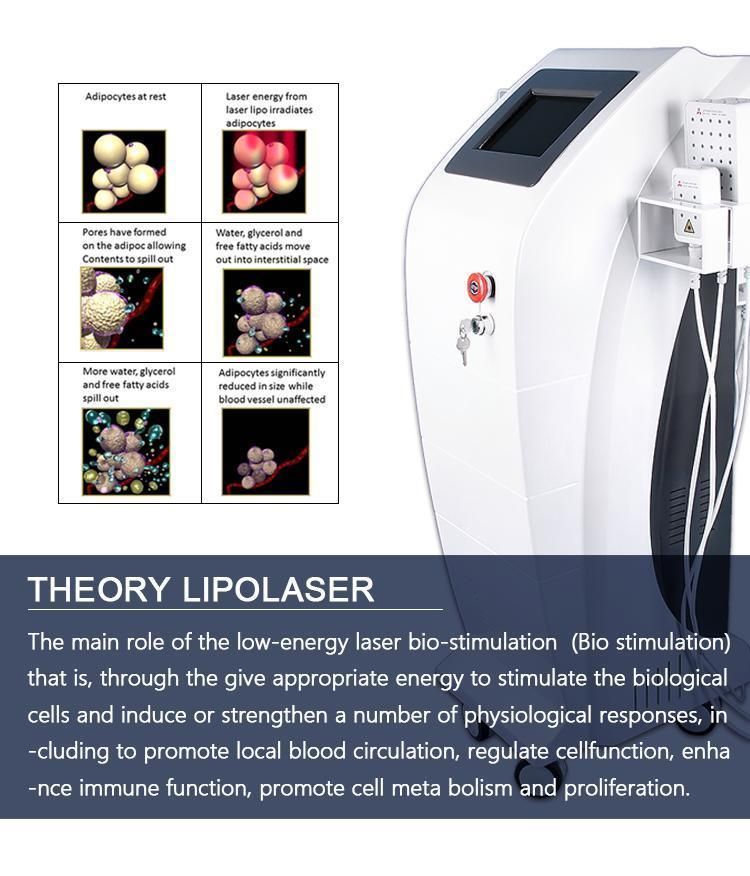 High-Intensity Focused 350MW Mitsubishi Diode Laser for Speed up Metabolism Laser Slimming Beauty Machine