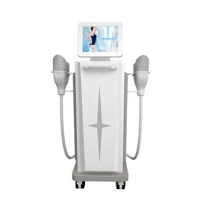 2022 4 Handle Cryolipolyse 360 Cryo Cool Tech Sculpting Fat Freezing Cellulite Removal Machine Price Machine