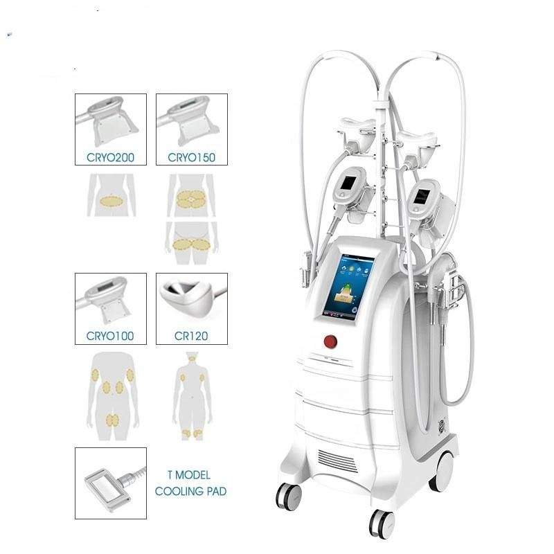 Etg50-5s High Quality Cryolipolysis Fat Freeze Double Chin Removal Weight Loss Equipment with 5 Handles