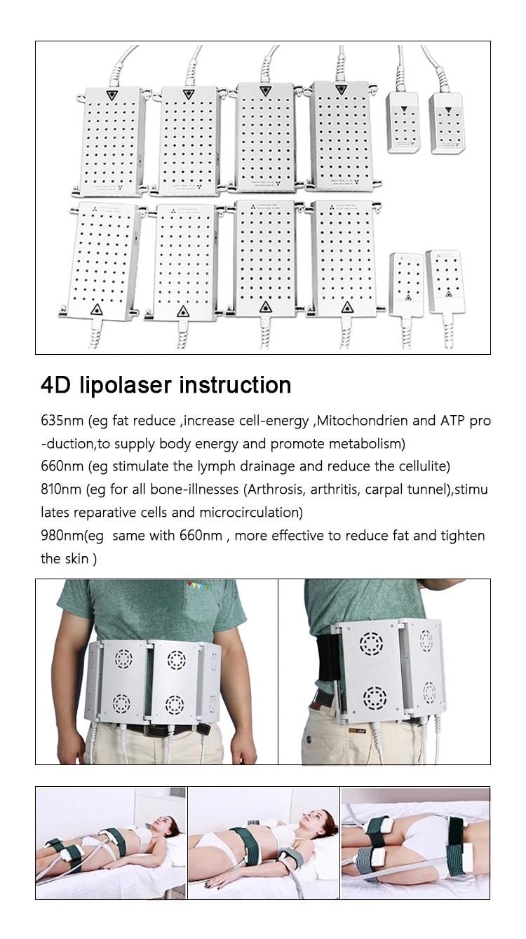 4D 528 Mitsubishi Diodes Laser Body Slimming Machine