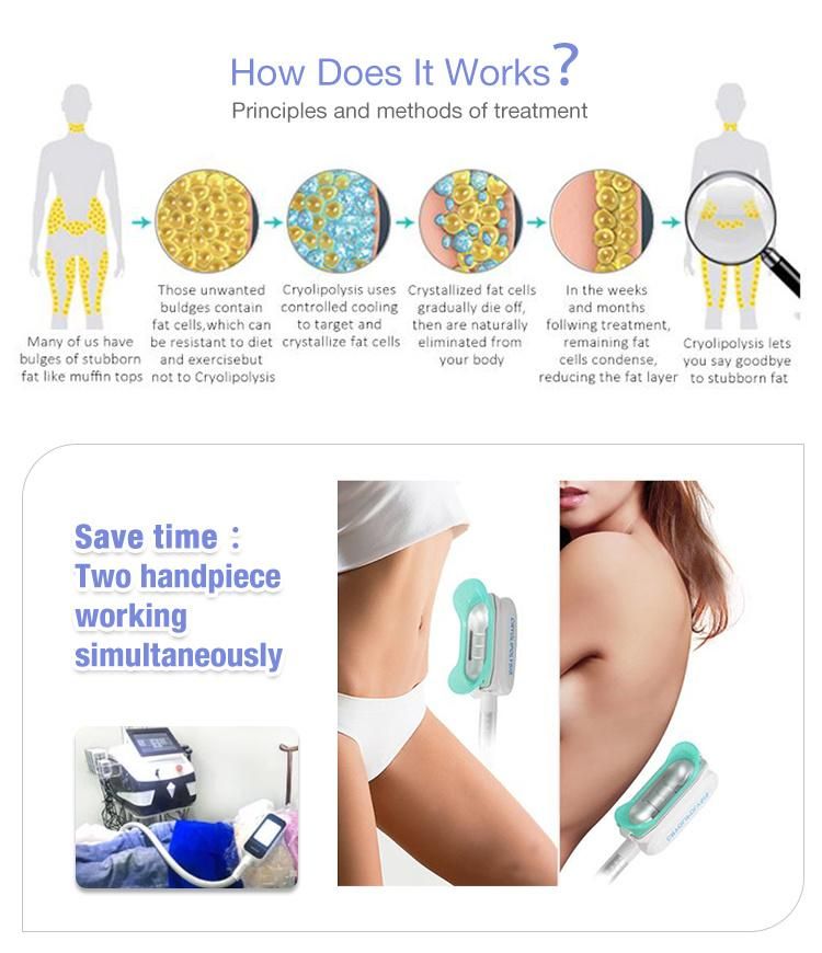 Beauty Salon 360 Cryolipolysis Cavitation RF Laser Weight Loss Equipment