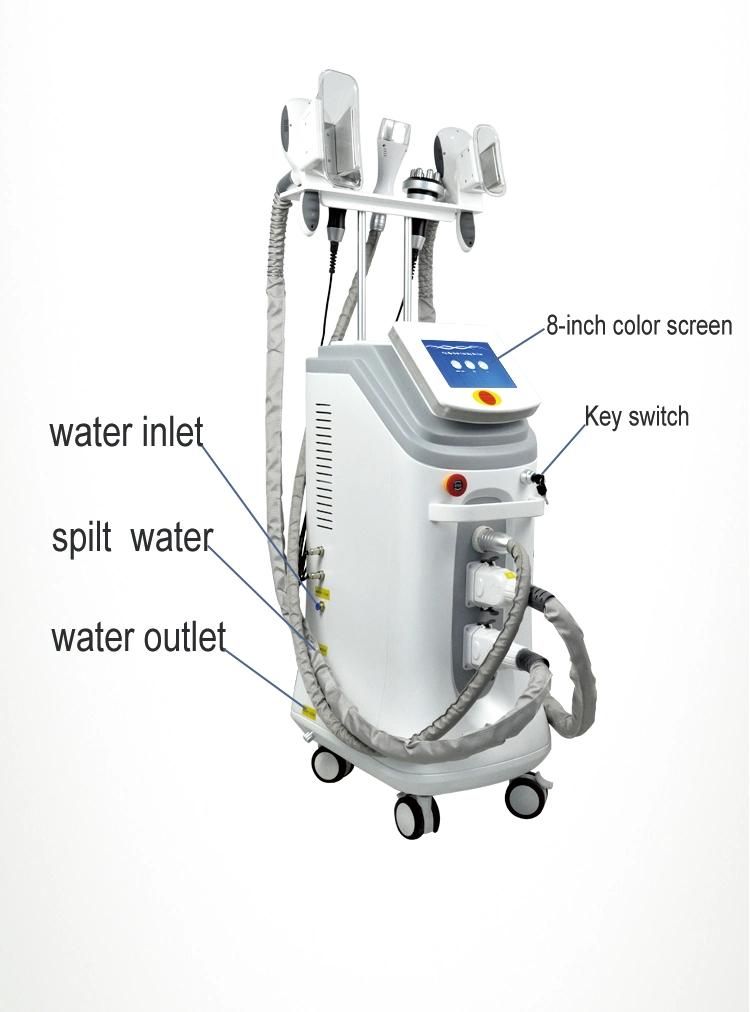 3 Handles Cryolipolysis Fat Freezing Slimming Machine with Double Chin Handle