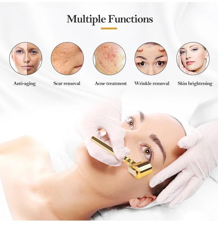 Seamless Metal Derma Roller 0.2mm 0.3mm High Quality Gold Face Acne Scar Micro Needling Derma Roller