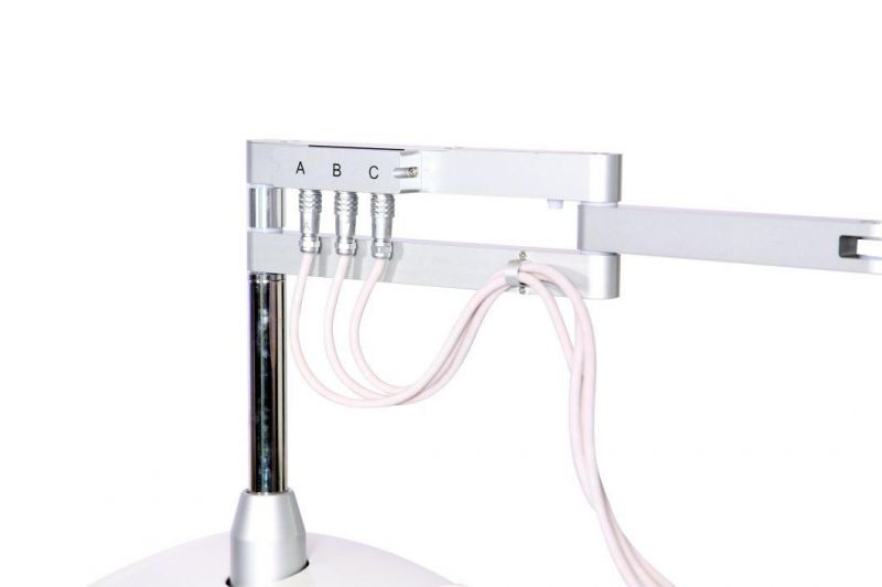 Skin Rejuvenation LED Light Machine