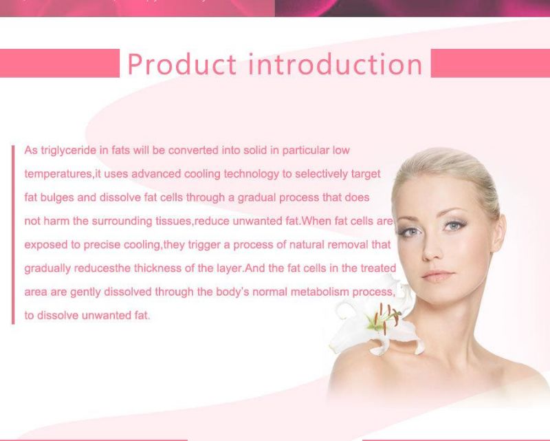 Distributors Wanted Superior Performance Eliminination Fat Beauty System (CRYO6S/CE)