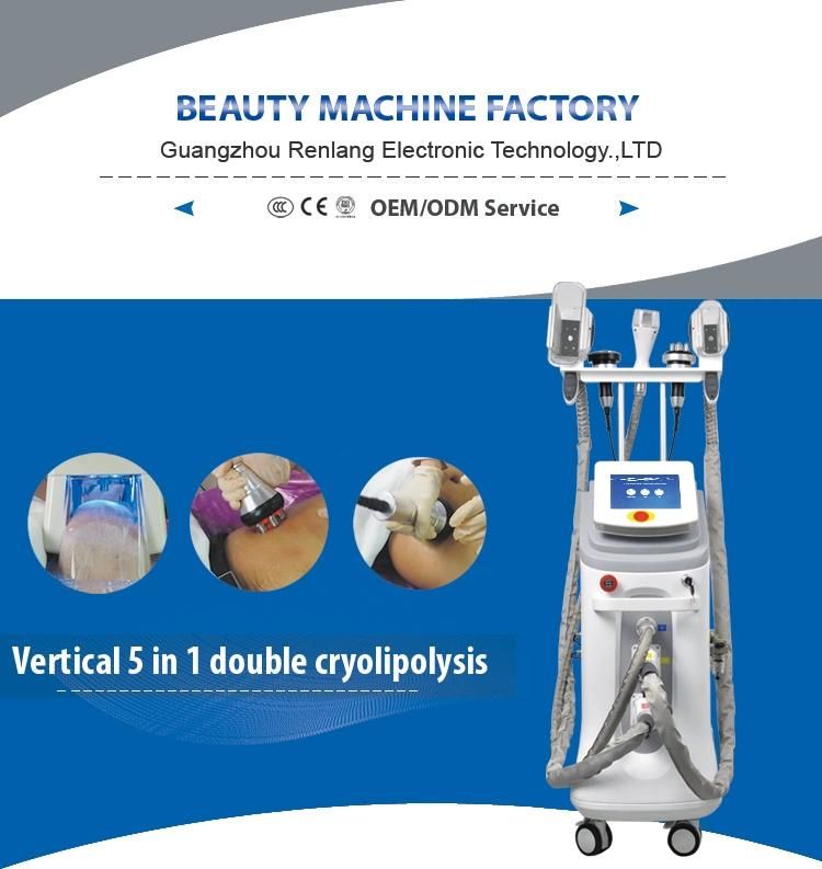 Factory Sale Criolipolisis / Cryolipolysis Machine Fat Freezing Slimming Machine for Salon