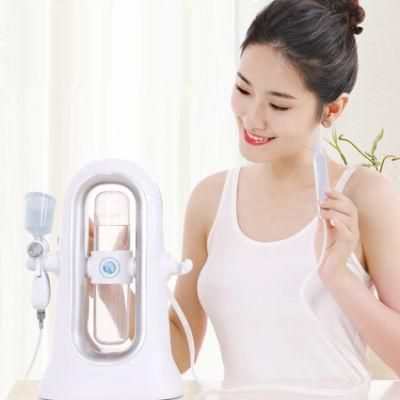 Hot Sale Micro Bubble Facial Cleansing Skin Care 2 Handles Facial Hydra Oxygen Spray Machine