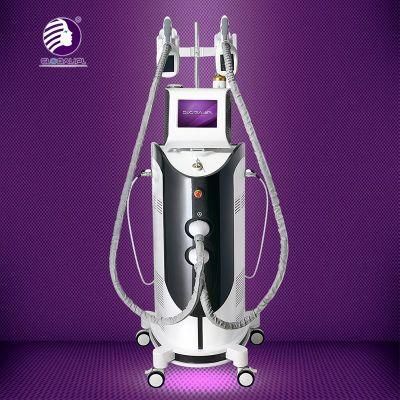 Fat Freezing Cavitation RF Diode Laser Massage Face &amp; Body Shaping Machine