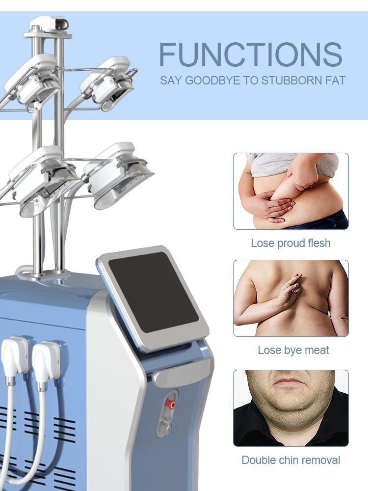 Guangzhou Kryolipolyse Fat Freezing for Body and Face Slimming with 5 Cryo Handles Cryotherapy