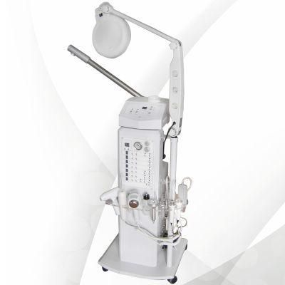 17 Funtion Multifunctional Microdermabrasion Machine B8168-33