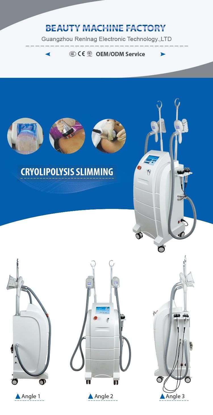 New Product Ideas 2018 Cryo Liposuction Weight Loss Machine